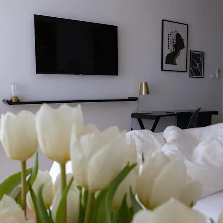 D'art Penthouse Split