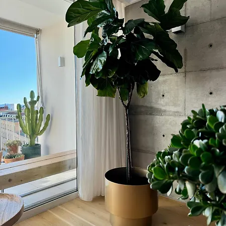 D'art Penthouse * Split