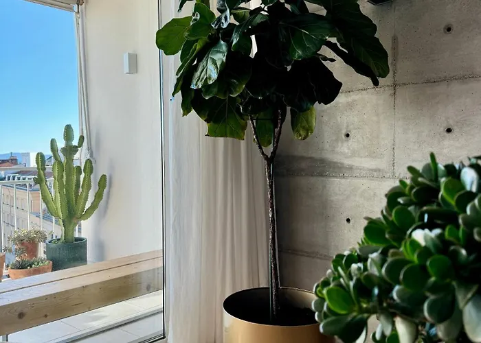 D'art Penthouse * Split